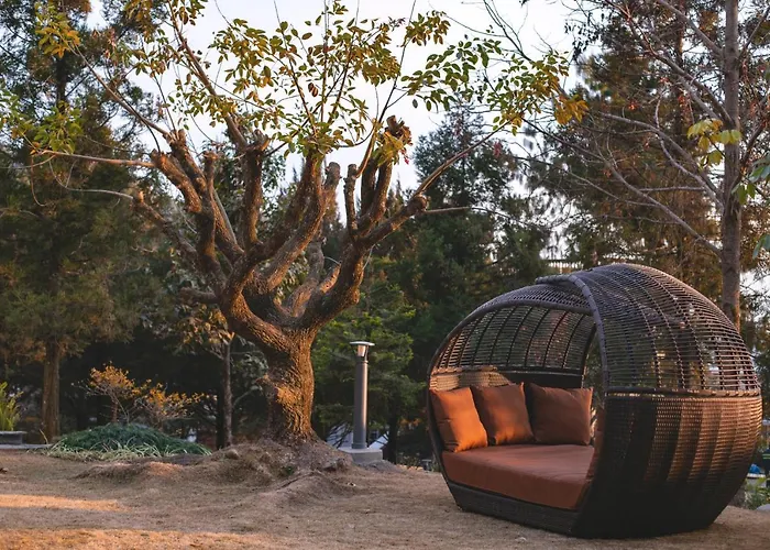 酒店 Meraki Holistic Wellness Retreat 5*