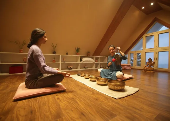 Meraki Holistic Wellness Retreat 酒店 5*